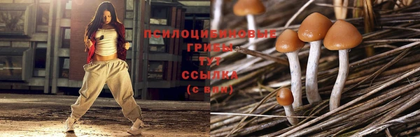 бутират Богородицк